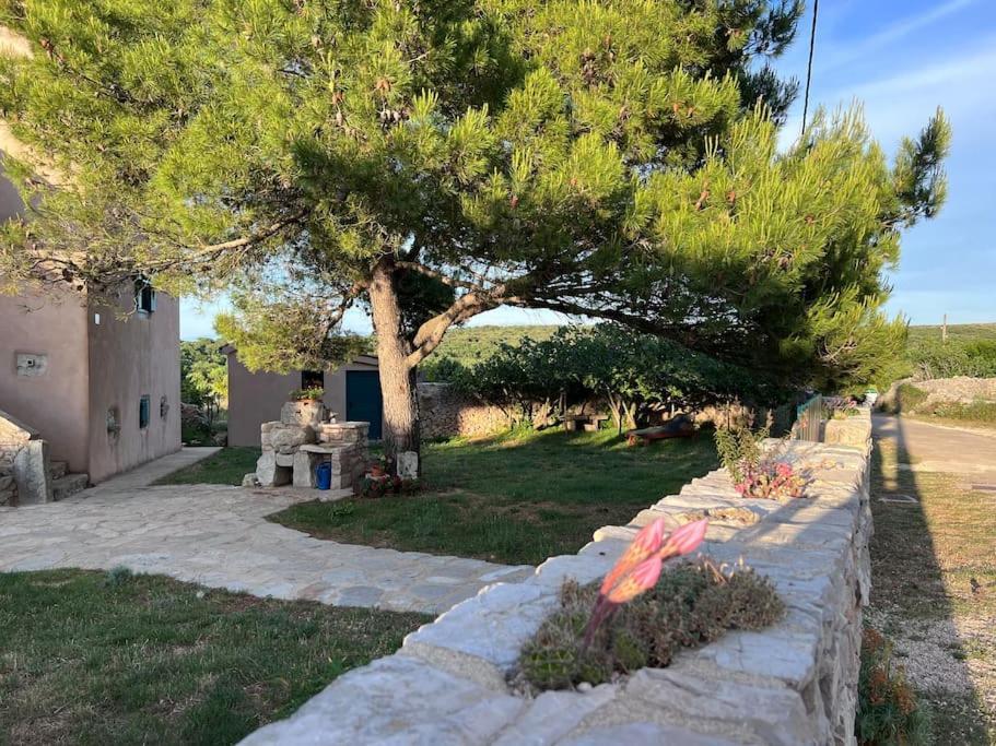 Holiday Apartment Нерезине Экстерьер фото